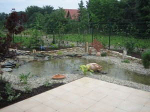 Realizacje ogrodów Toruń Bydgoszcz - 919_017b1f8407e6feeebffed0e8c3a3843b